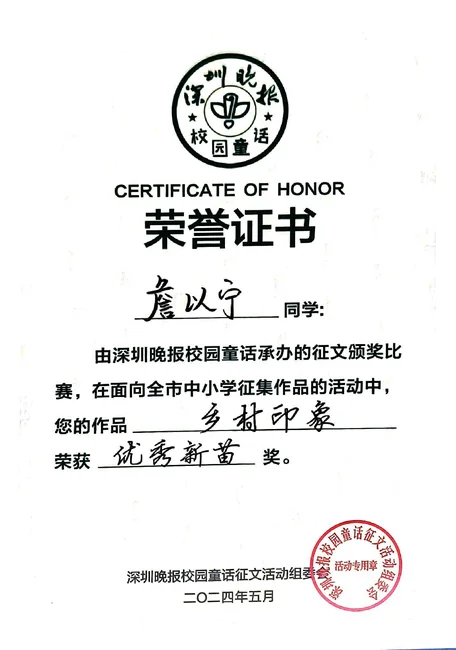 《乡村印象》 / 优秀新苗奖的证书照片