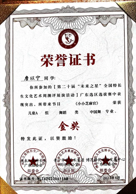 《小小芝麻官》奖状照片